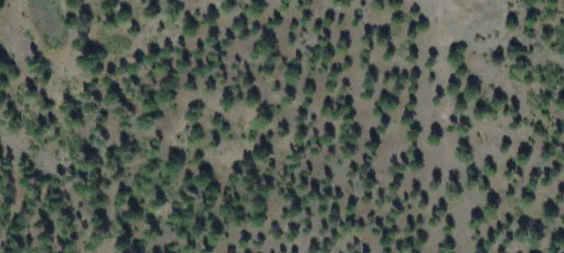 Land/Property