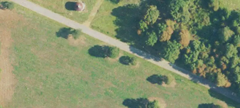 Six-House Poultry Farm
