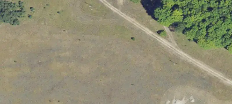 Wooded Recreation Land with RV Hookups