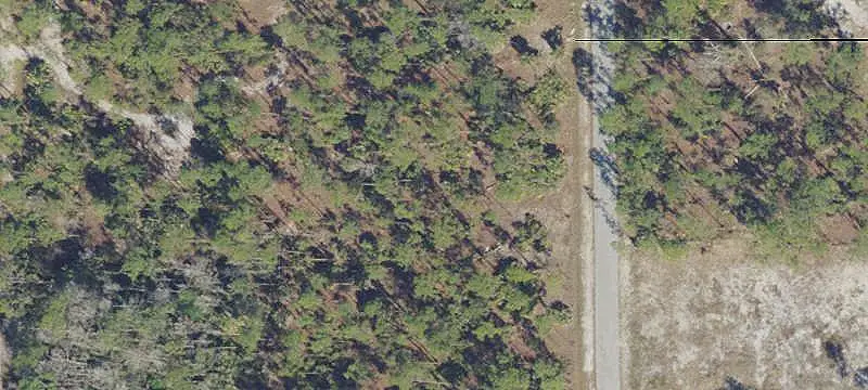 Land/Lot