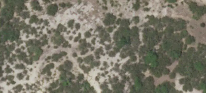 Land