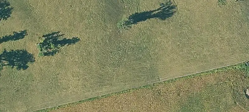 185-Acre Agricultural Farm