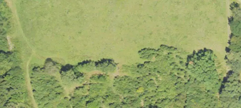 Agricultural Land with Pasture
