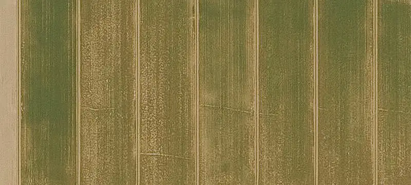 Vacant Land