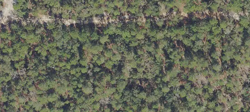 Land/Lot