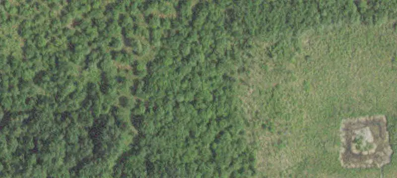 Timbered Hunting Land