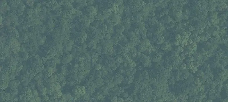 Vacant Land / Lots