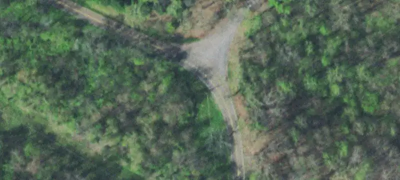Timbered Land with Springs