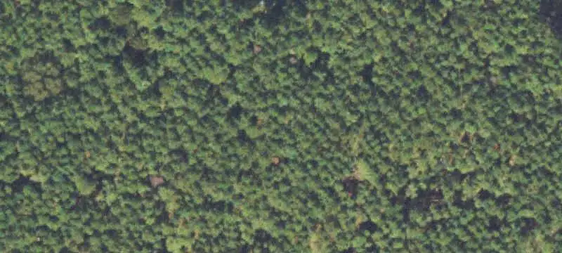 Vacant Land