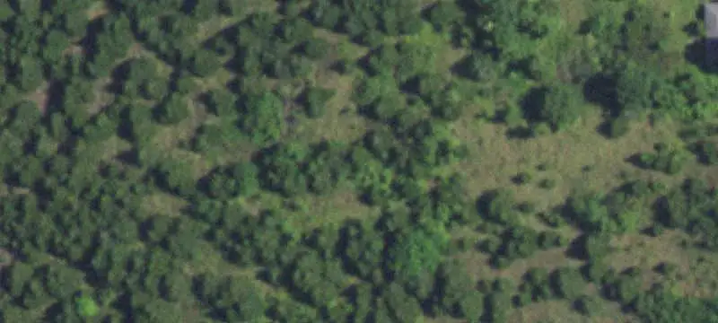 Unimproved Land
