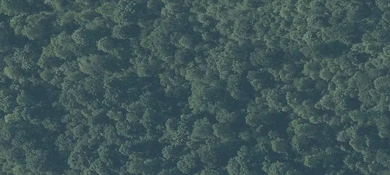 Unimproved Land