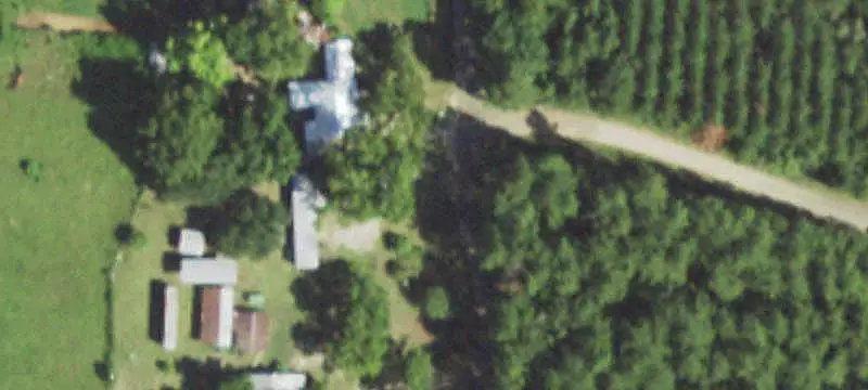 Wooded Homestead Farm