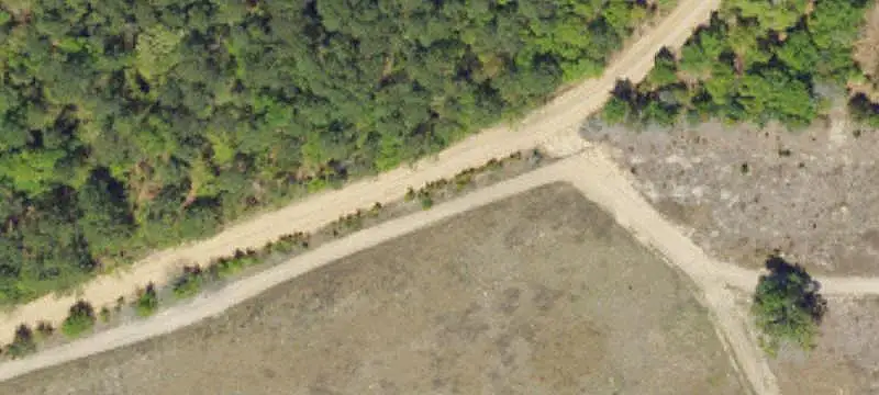 Farm
