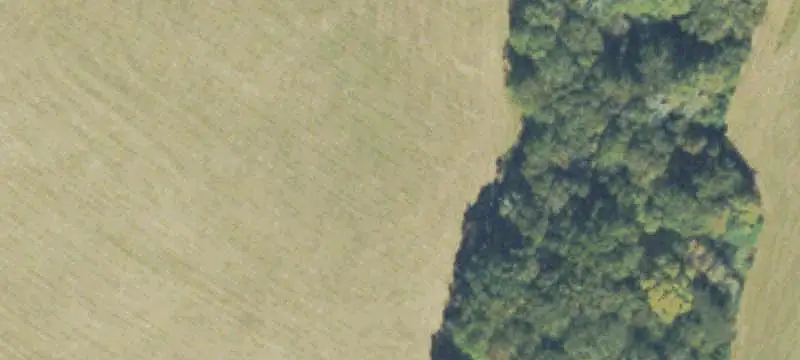 Agricultural Land / Farmland