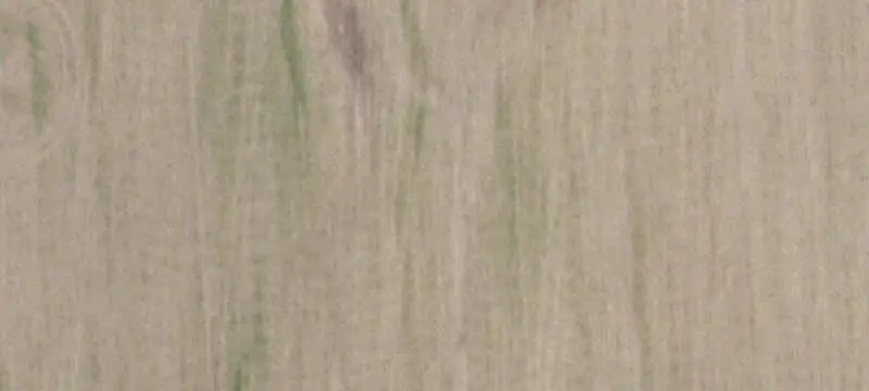 38-Acre Farmland Tract