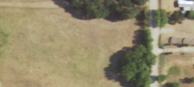 Pastureland with Native Hardwood Trees