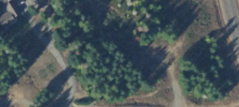 Forest Hunting Land