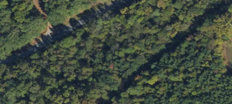 Land or Vacant Lot