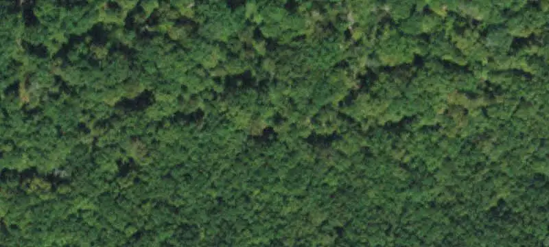 Hunting Land with Surface Water