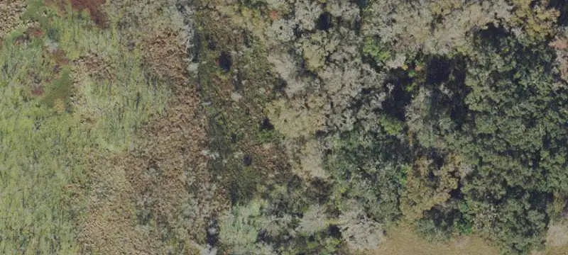Agricultural Land with Pasture