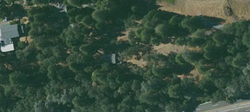 Agricultural Land with Fruit Trees