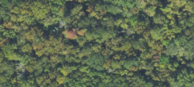 Recreation Land with Creek Frontage