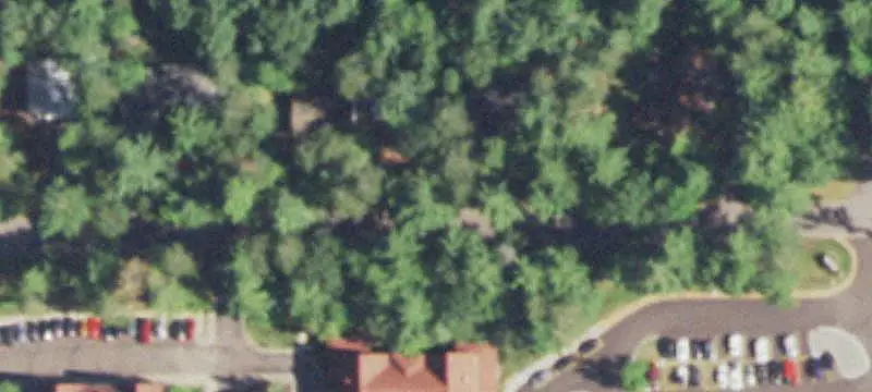 Wooded Commercial Land