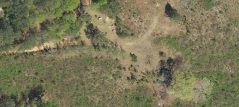 Land