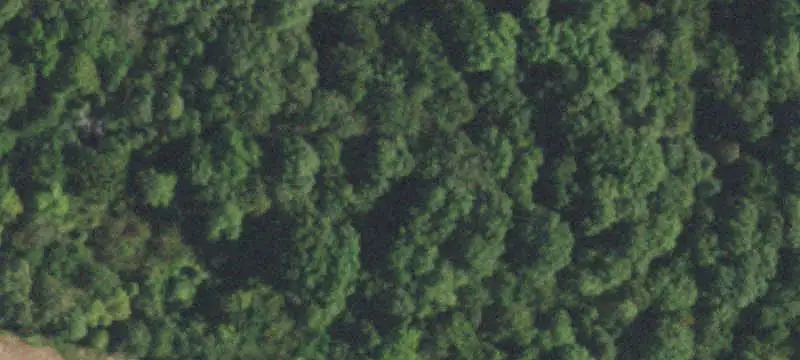 Hunting Land with Cabin
