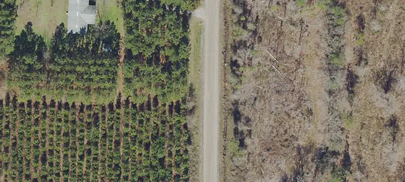 Agricultural Land with Barn