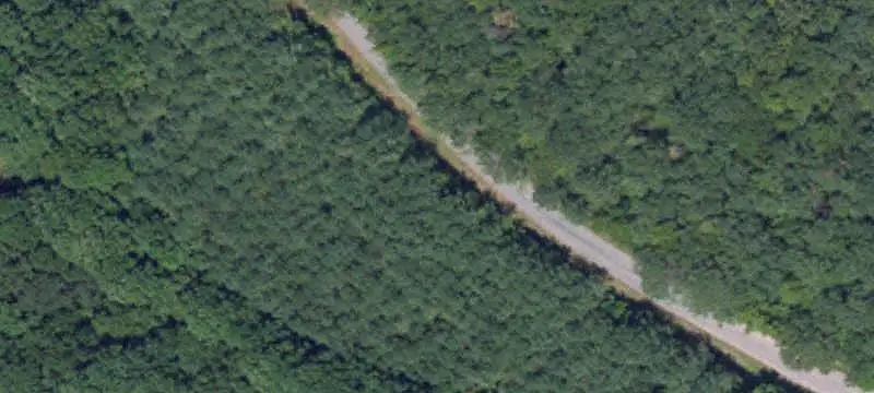 Timbered Hunting Land With Creek