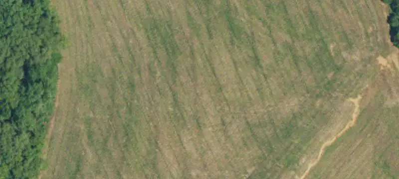 Agricultural Land with Development Potential