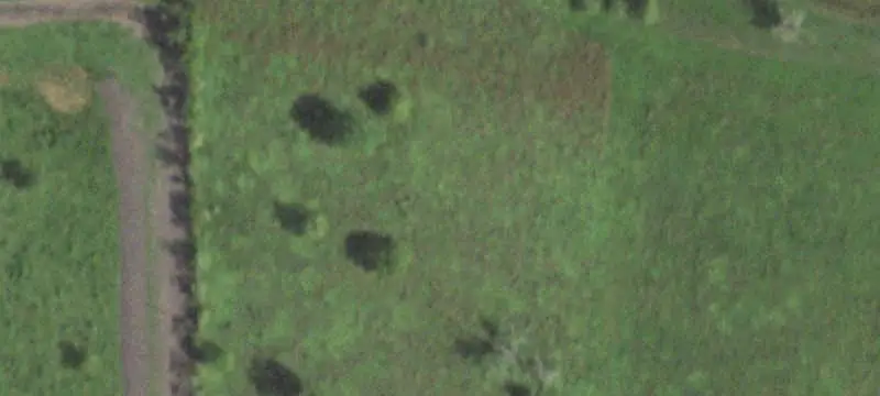 Cleared Agricultural Land