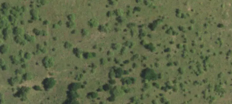 Expansive Land Tract