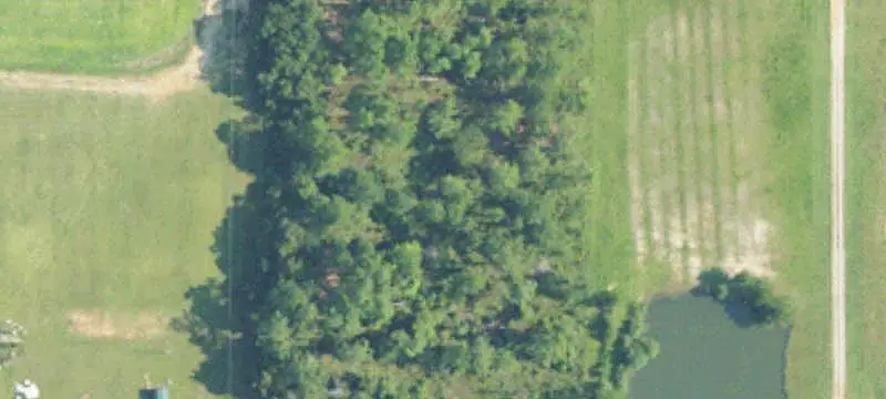 Land/Lot