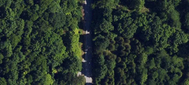 Wooded Recreational Land