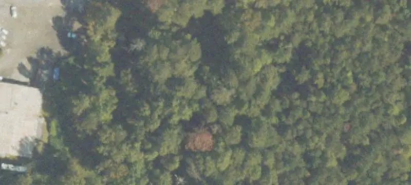 Commercial Land with C-1 Zoning