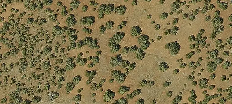 Land/Lot