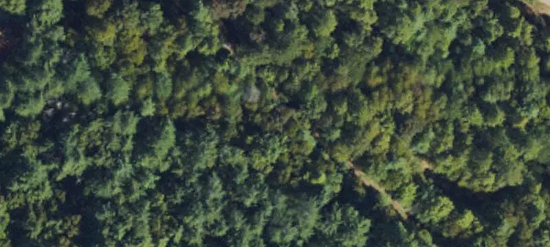 Land/Lot