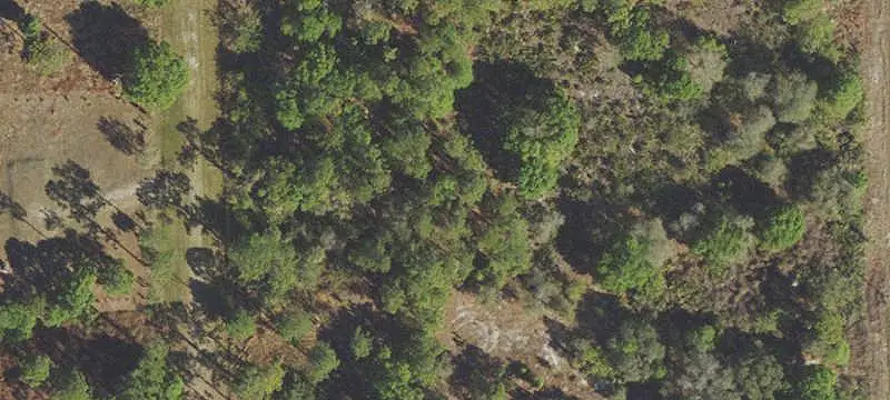 Land/Lot