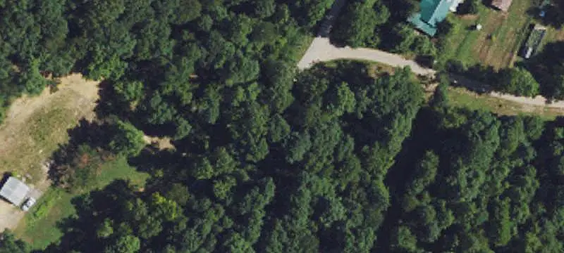Mature Timber Hunting Land