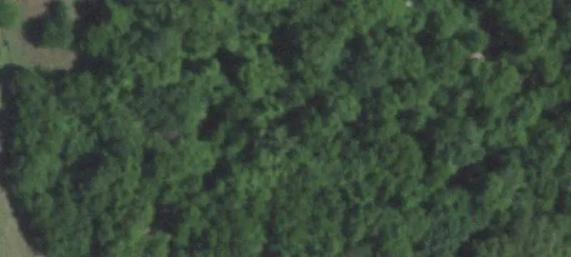 Whitetail Hunting Tract