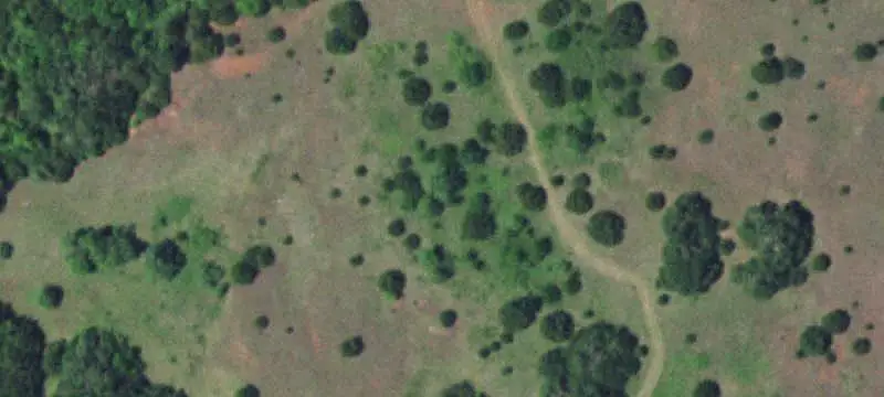 Land