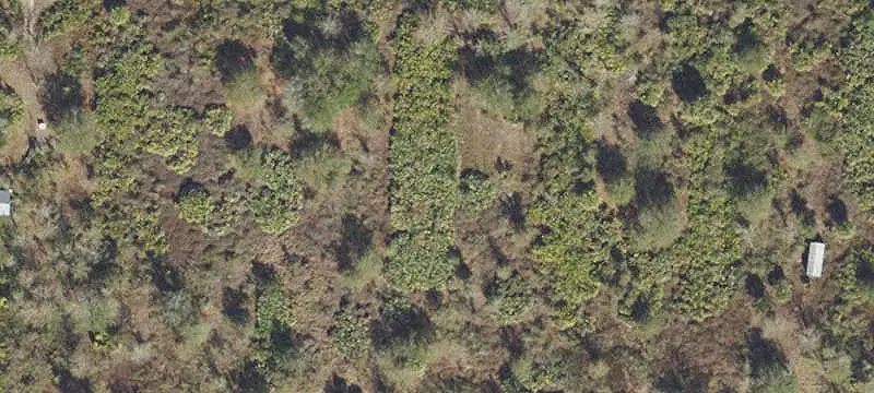 Vacant Land