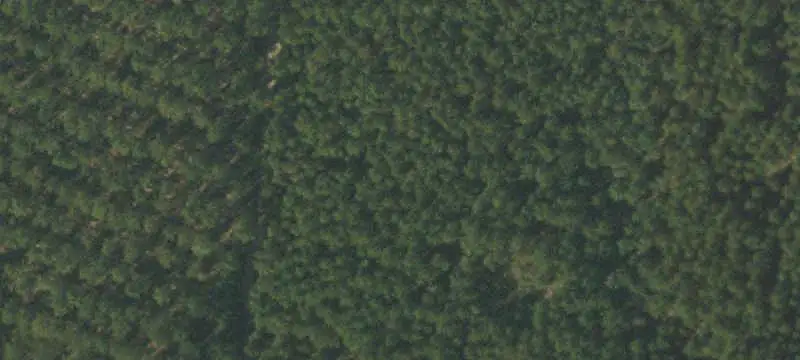 Agricultural Land with Planted Forest