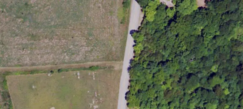 Hunting Land with Interior Trails
