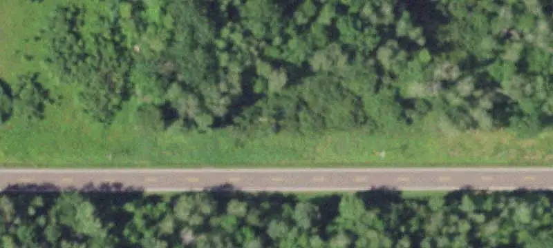 Wooded Hunting Land with Cabin