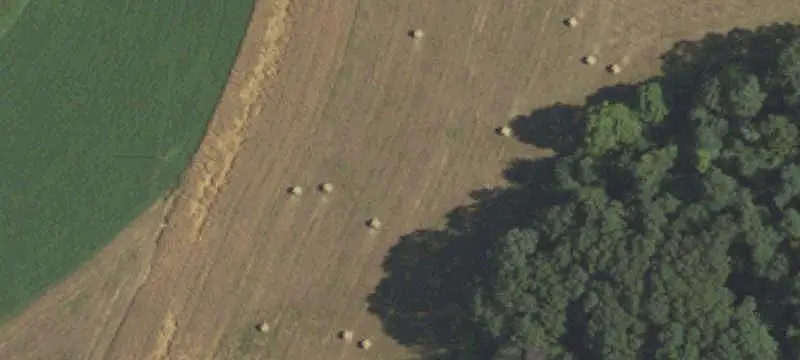 Land Tract With Perc Sites