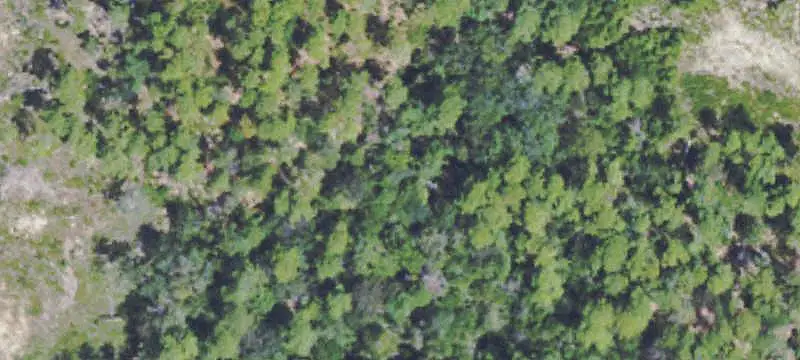 Land