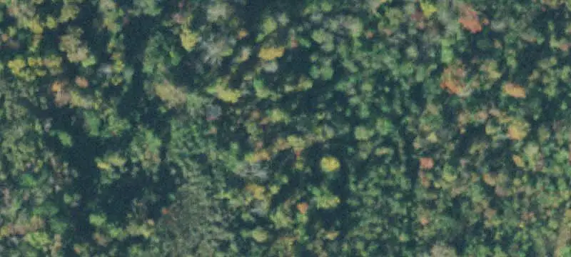 Surveyed Farm Land